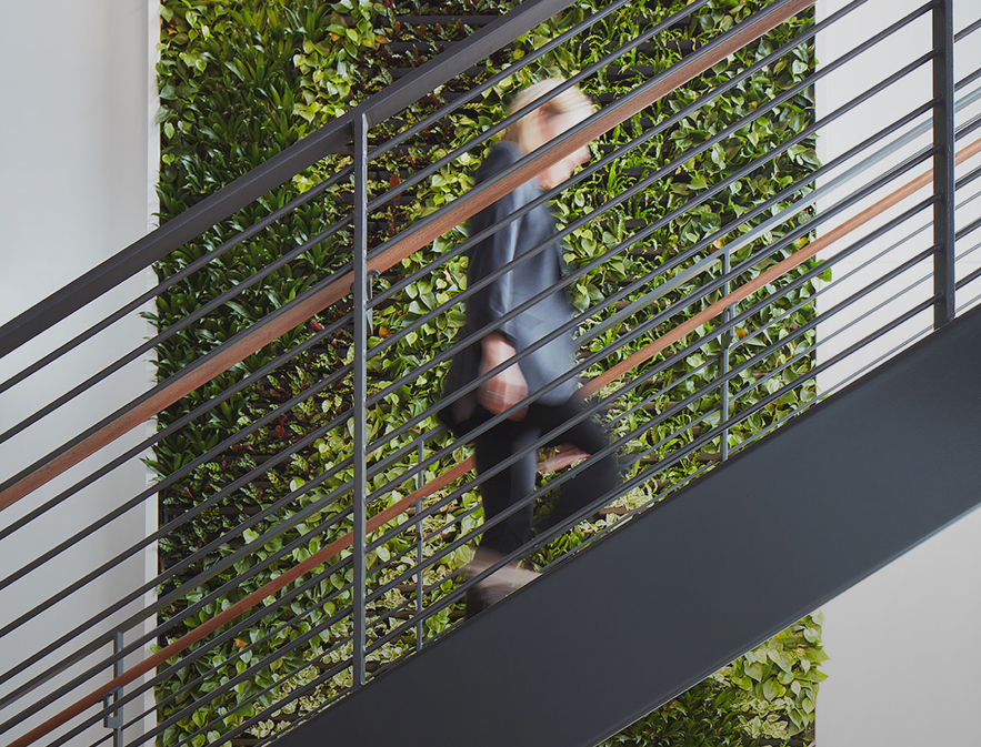 Business professional walking up a modern metal staircase with a green living plant wall in the background, representing career growth at RDV Corp.